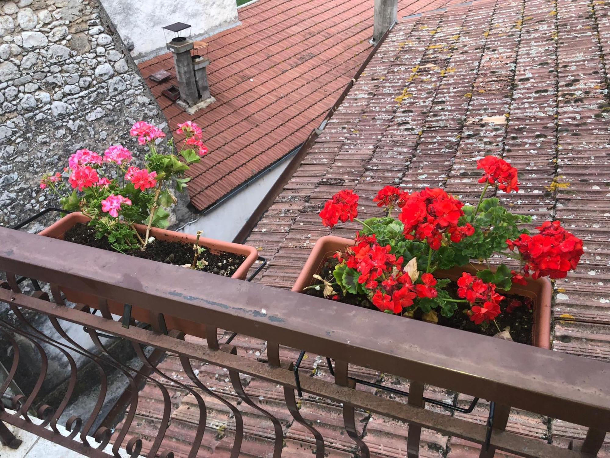 Bed And Breakfast Il Cavaliere Pozzilli Exterior photo